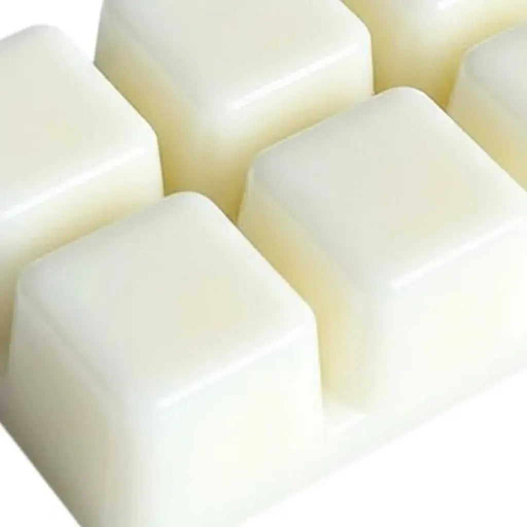 Set of Six Ivory Baja Cactus Blossom Scented Soy Wax Melts - Homeroots - Flyclothing LLC