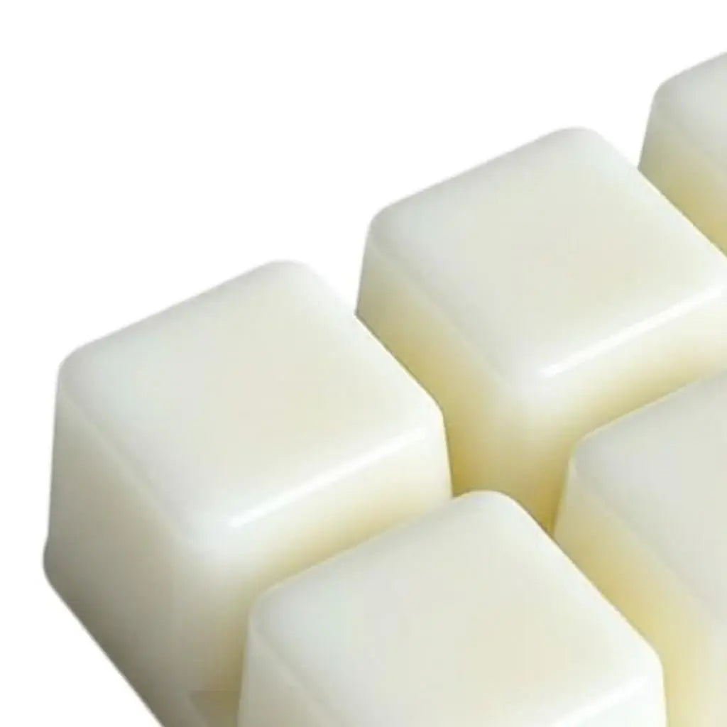 Set of Six Ivory Sea Salt And Orchid Scented Soy Wax Melts - Homeroots - Flyclothing LLC