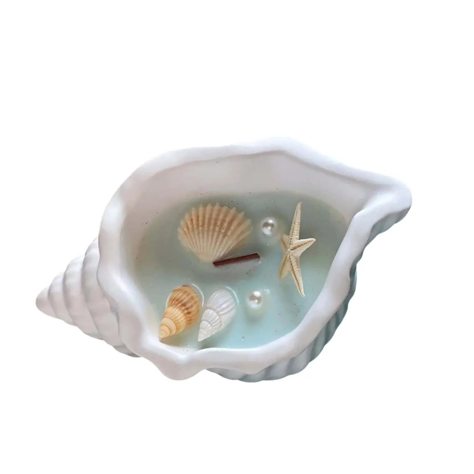 6" Light Blue Sea Salt And Orchid Scented Candle In White Resin Novelty Holder With Shells - Homeroots - Flyclothing LLC