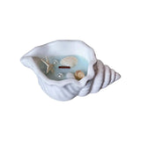 6" Light Blue Sea Salt And Orchid Scented Candle In White Resin Novelty Holder With Shells - Homeroots - Flyclothing LLC