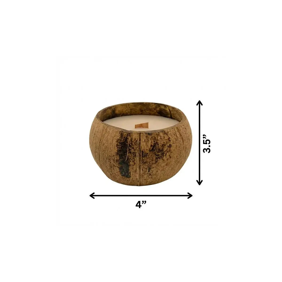 4" Ivory Unscented Candle In Brown Coconut Shell Holder - Homeroots - Flyclothing LLC