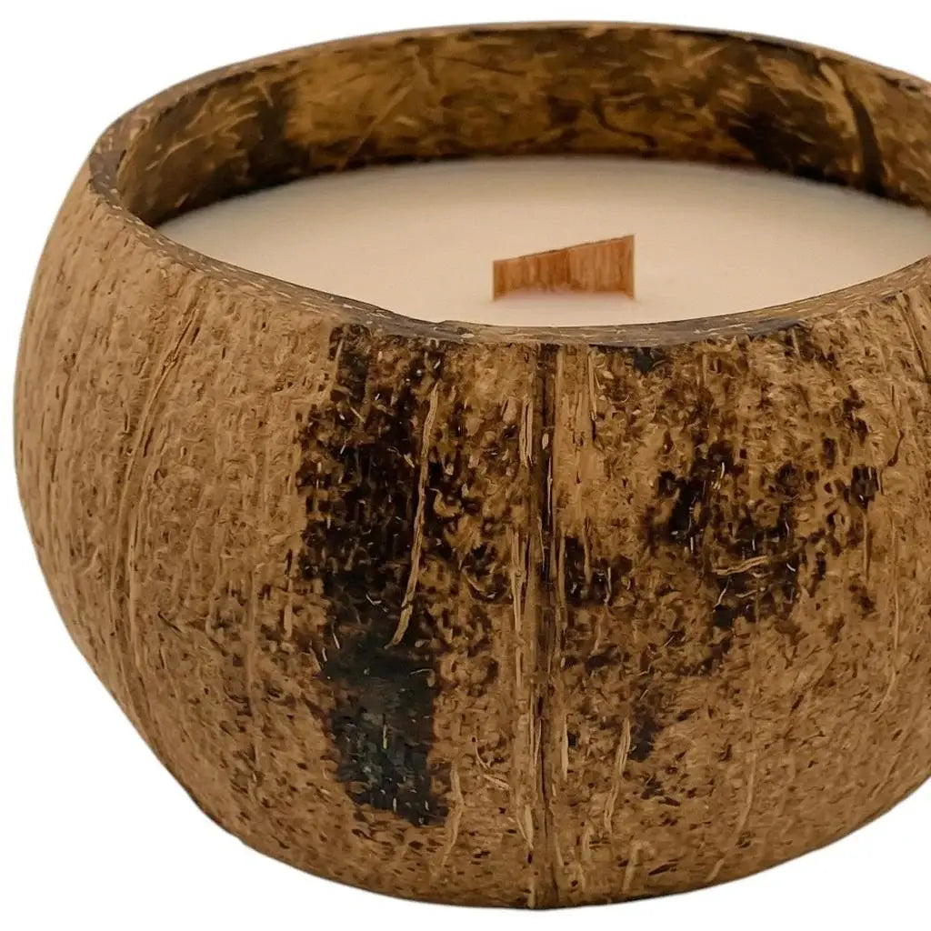 4" Ivory Orchid And Sea Salt Scented Candle In Brown Coconut Shell Holder - Homeroots - Flyclothing LLC