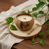 4" Ivory Orchid And Sea Salt Scented Candle In Brown Coconut Shell Holder - Homeroots - Flyclothing LLC