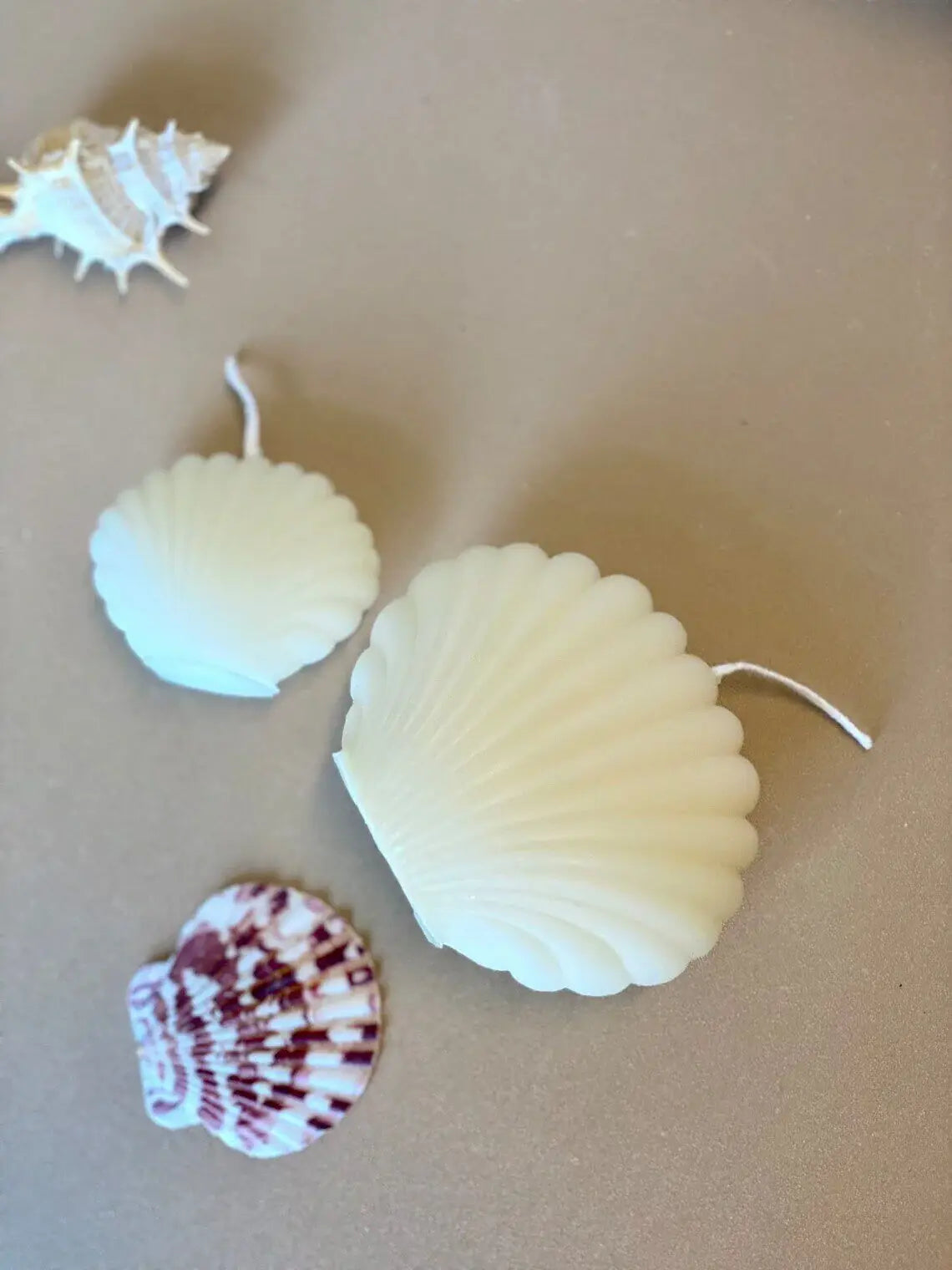 3" Ivory Coconut Hibiscus Scented Dimensional Seashell Candle - Homeroots - Flyclothing LLC