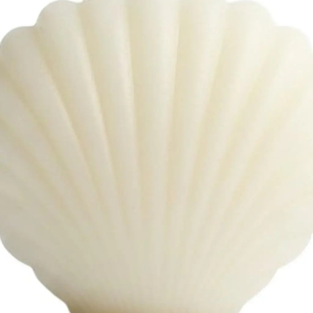 3" Ivory Unscented Dimensional Seashell Candle - Homeroots - Flyclothing LLC