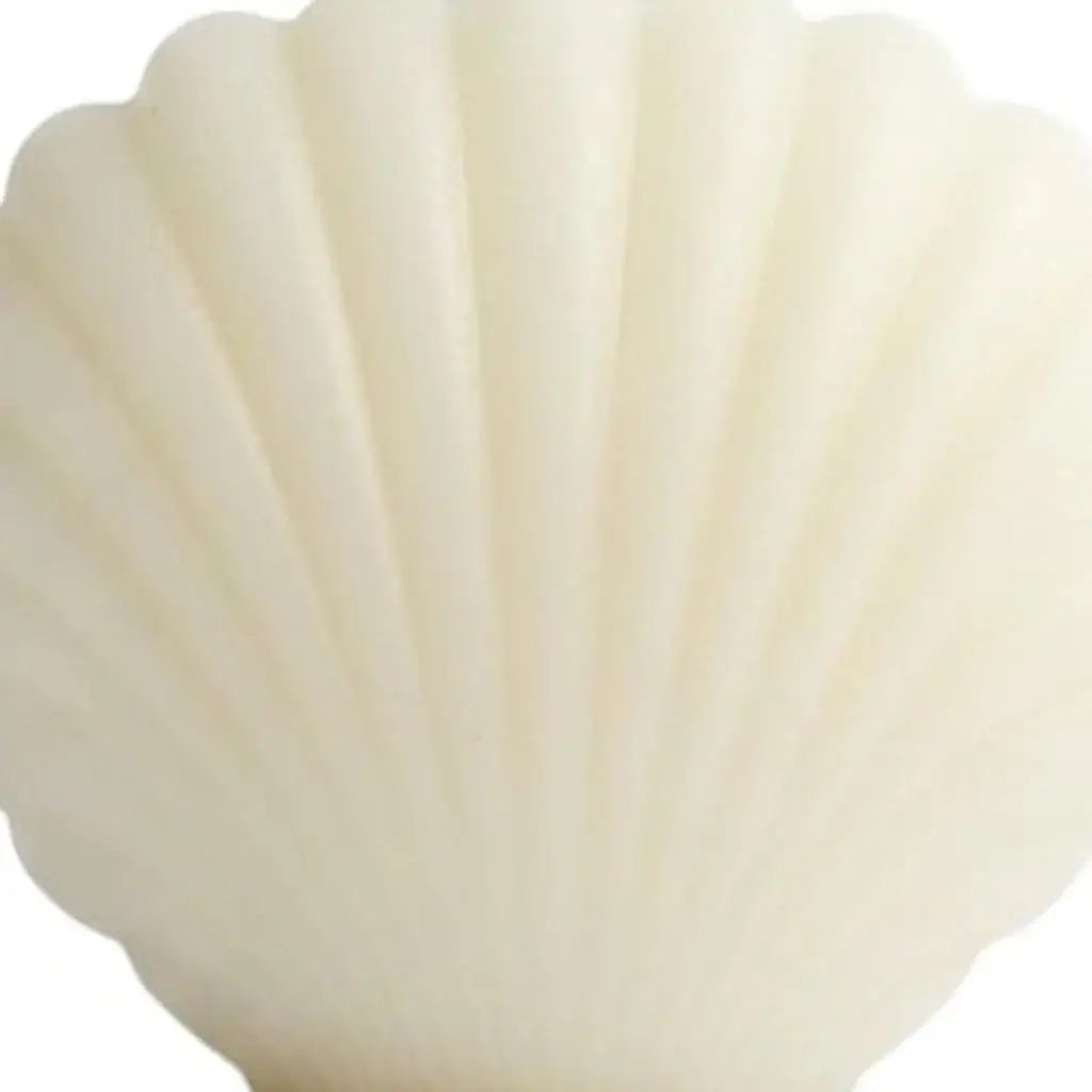 3" Ivory Wild Lavender And Sage Scented Dimensional Seashell Candle - Homeroots - Flyclothing LLC
