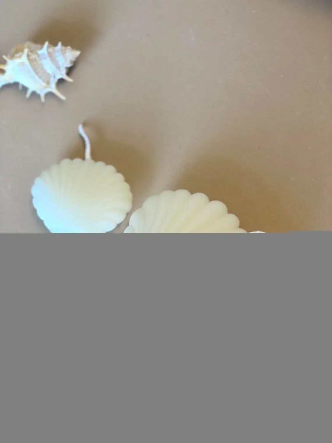 4" Ivory Ocean Breeze Scented Dimensional Seashell Candle - Homeroots - Flyclothing LLC