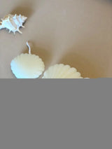 4" Ivory Ocean Breeze Scented Dimensional Seashell Candle - Homeroots - Flyclothing LLC