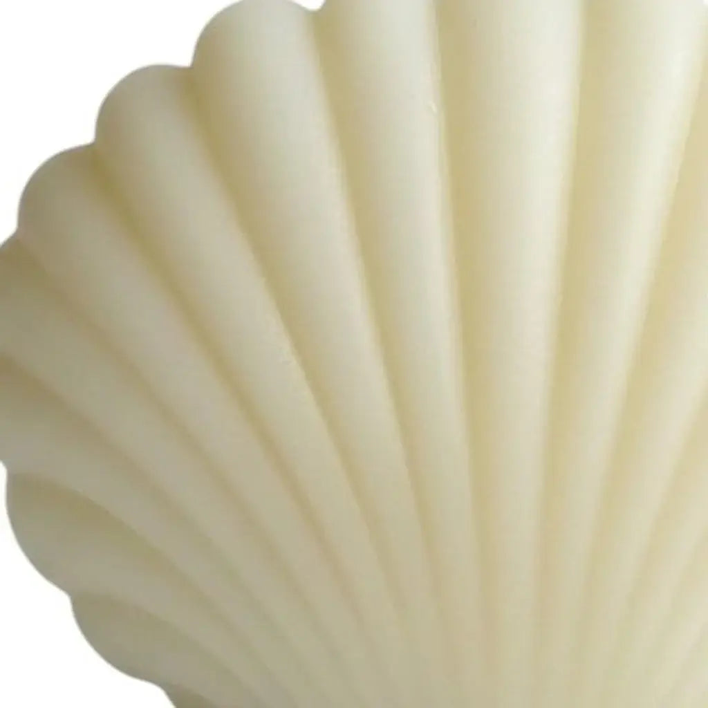 4" Ivory Ocean Breeze Scented Dimensional Seashell Candle - Homeroots - Flyclothing LLC