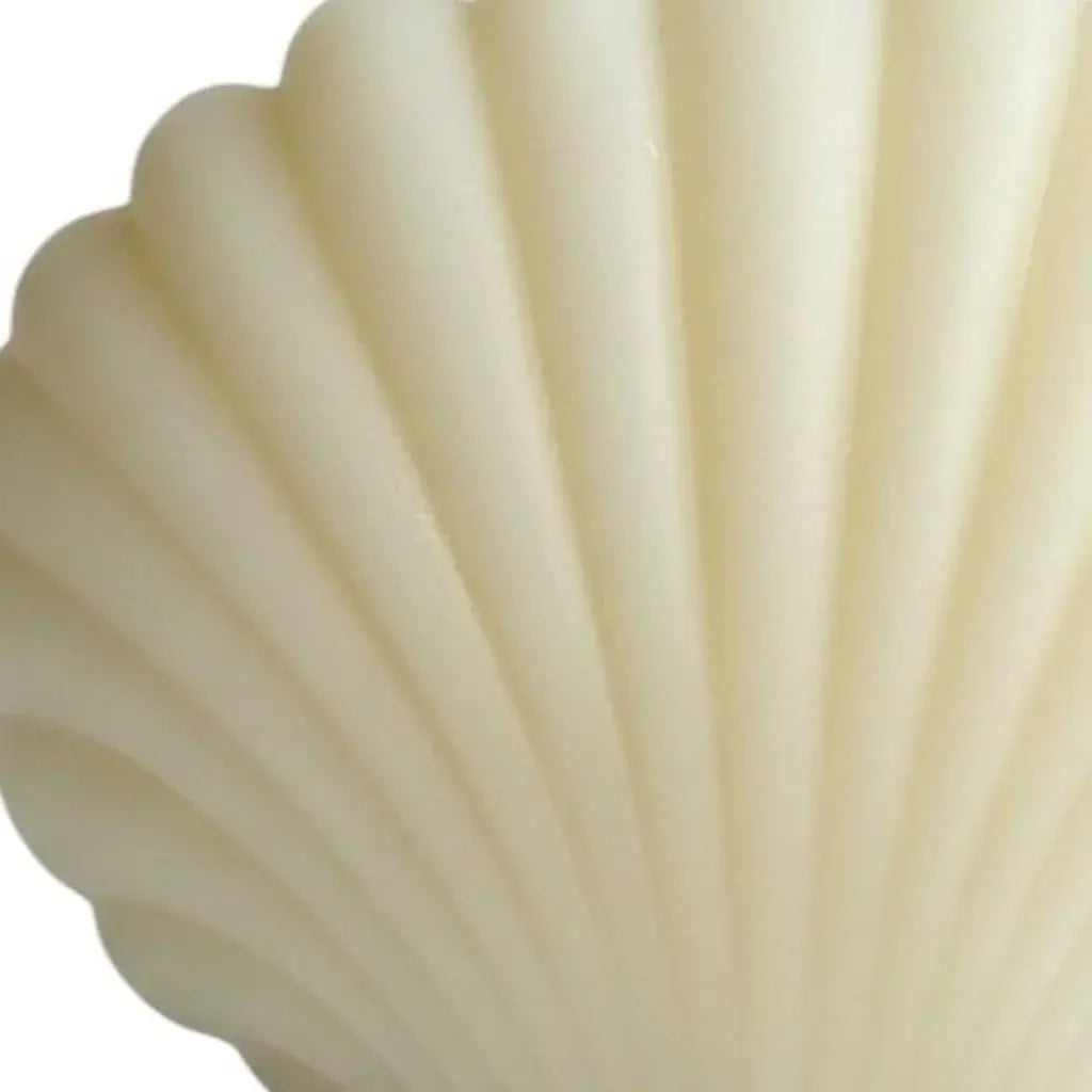 4" Ivory Clean Cotton Scented Dimensional Seashell Candle - Homeroots - Flyclothing LLC