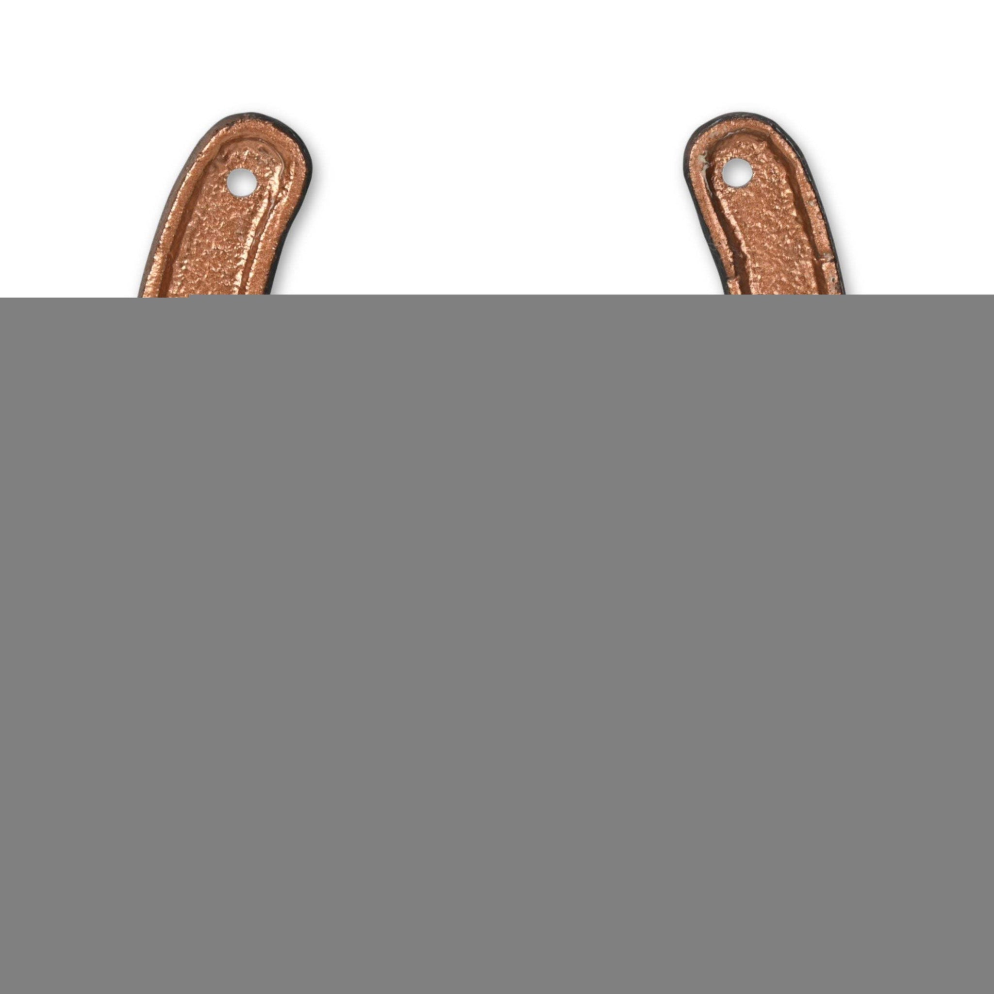 4" Antiqued Bronze Cast Iron Horseshoe Wall Hook - HomeRoots - Flyclothing LLC