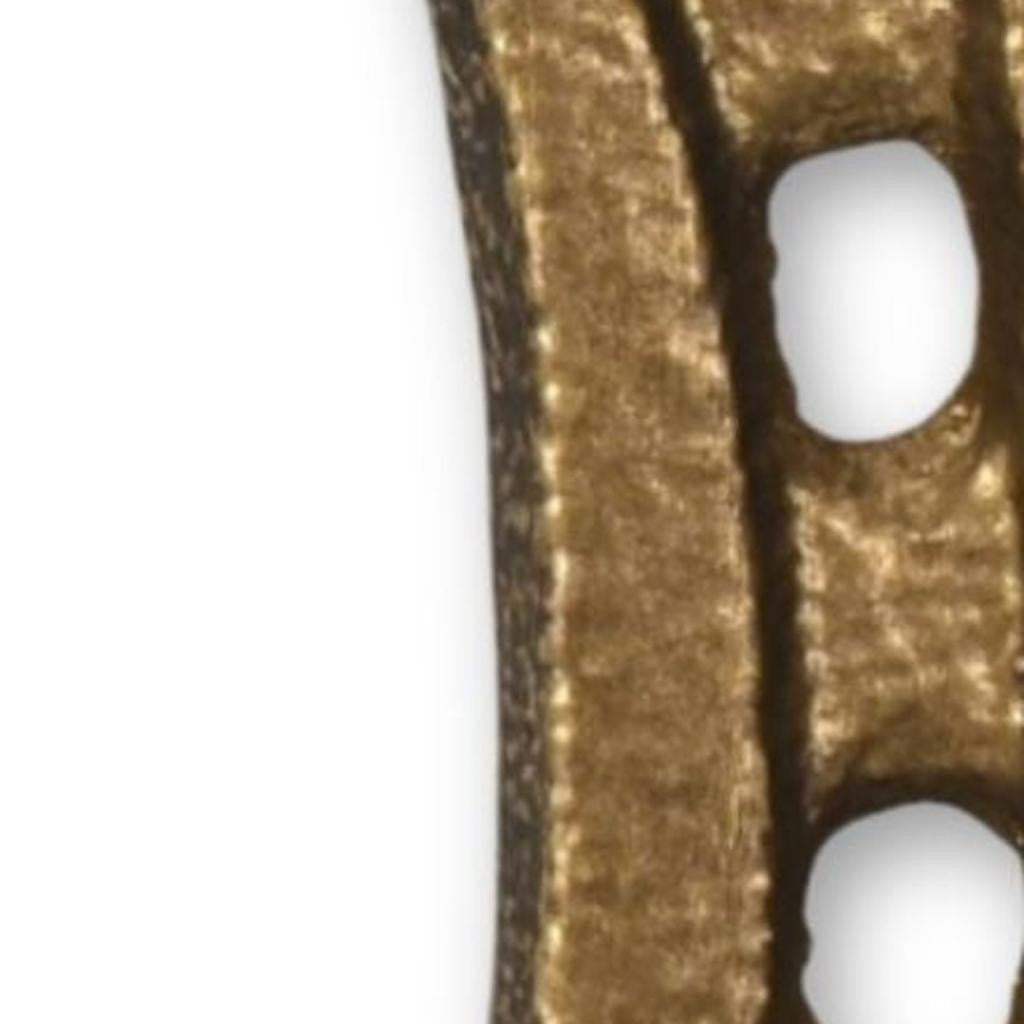 4" Antiqued Gold Cast Iron Horseshoe Wall Hook - HomeRoots - Flyclothing LLC