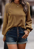 Lace Detail Round Neck Lantern Sleeve Top - Trendsi - Flyclothing LLC