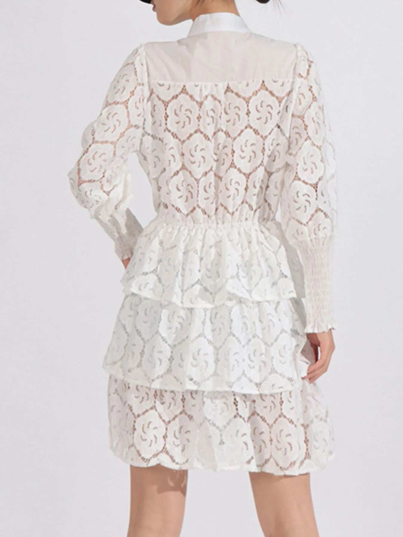 Full Size Lace Layered Long Sleeve Dress Plus Size - Trendsi - Flyclothing LLC