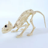 Halloween Decoration Artificial Animal Skeleton - My Store - Flyclothing LLC