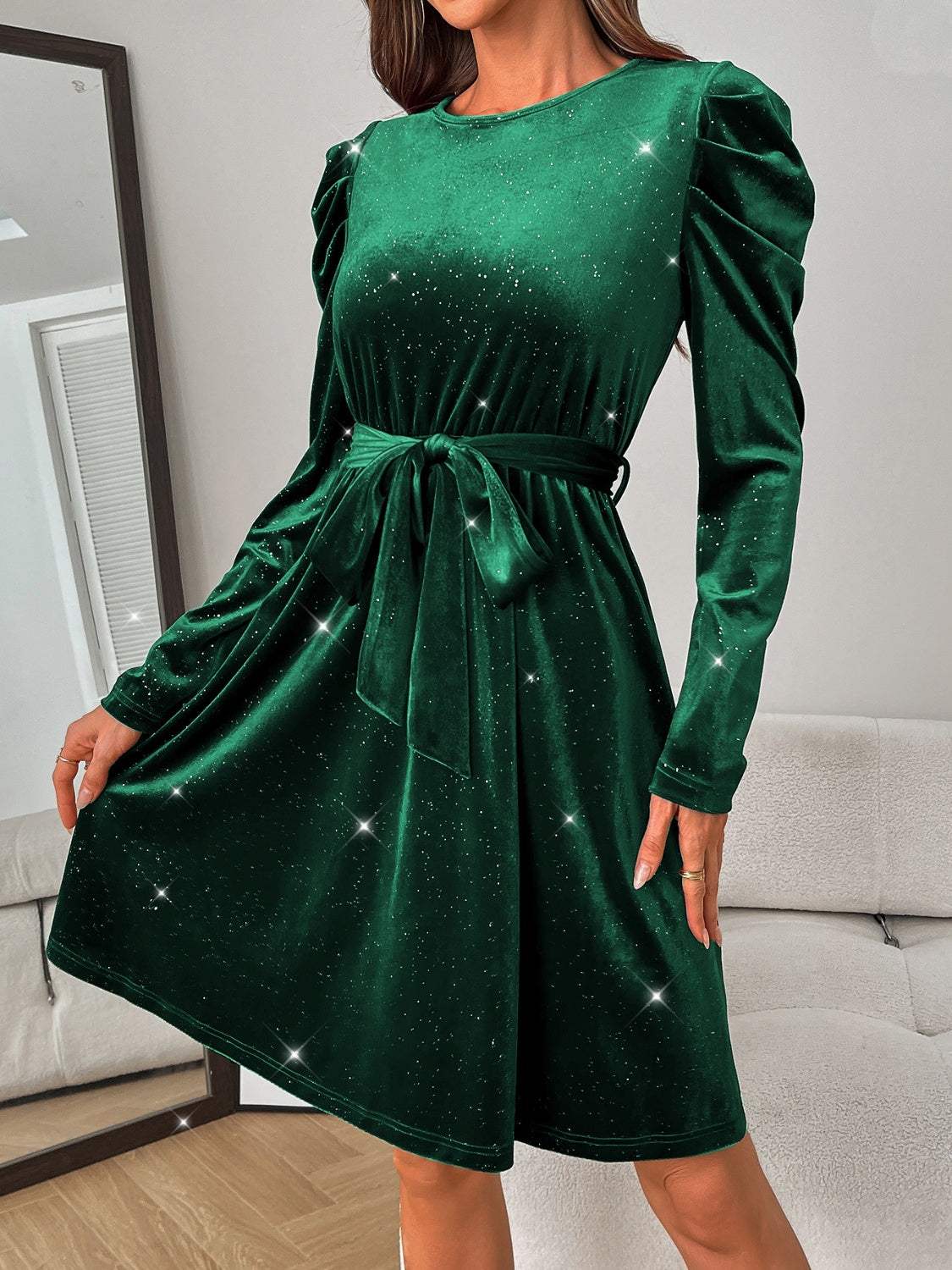 Glitter Round Neck Puff Sleeve Dress - Trendsi - Flyclothing LLC