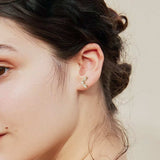 Moissanite 925 Sterling Silver Stud Earrings - Trendsi - Flyclothing LLC