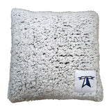 Massachusetts-Boston Frosty Throw Pillow