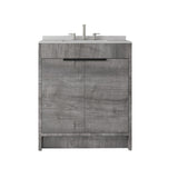 30" Gray Wood Freestanding Double Door Bathroom Vanity With White Sink - HomeRoots - Flyclothing LLC