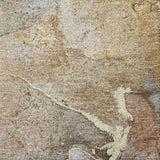 10' X 14' Beige And Taupe Abstract Shag Washable Area Rug With UV Protection - HomeRoots - Flyclothing LLC
