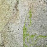 5' X 8' Green And Gray Abstract Shag Washable Area Rug With UV Protection - HomeRoots - Flyclothing LLC