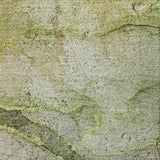 8' X 10' Olive Green And Green Abstract Shag Washable Area Rug With UV Protection - HomeRoots - Flyclothing LLC