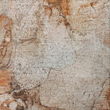 10' X 14' Orange And Terra Cotta Abstract Shag Washable Area Rug With UV Protection - HomeRoots - Flyclothing LLC