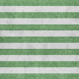 3' X 5' Green And Ivory Striped Shag Washable Area Rug With UV Protection - HomeRoots - Flyclothing LLC