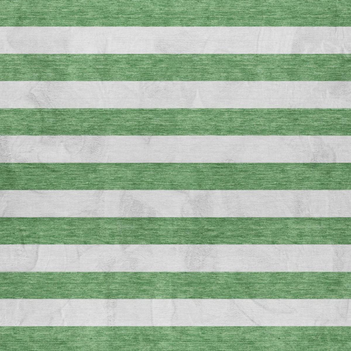 3' X 5' Green And Ivory Striped Shag Washable Area Rug With UV Protection - HomeRoots - Flyclothing LLC