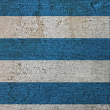 3' X 5' Blue And Gray Striped Shag Washable Area Rug With UV Protection - HomeRoots - Flyclothing LLC