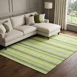 8' X 10' Fern Green And Green Striped Shag Washable Area Rug With UV Protection - HomeRoots - Flyclothing LLC