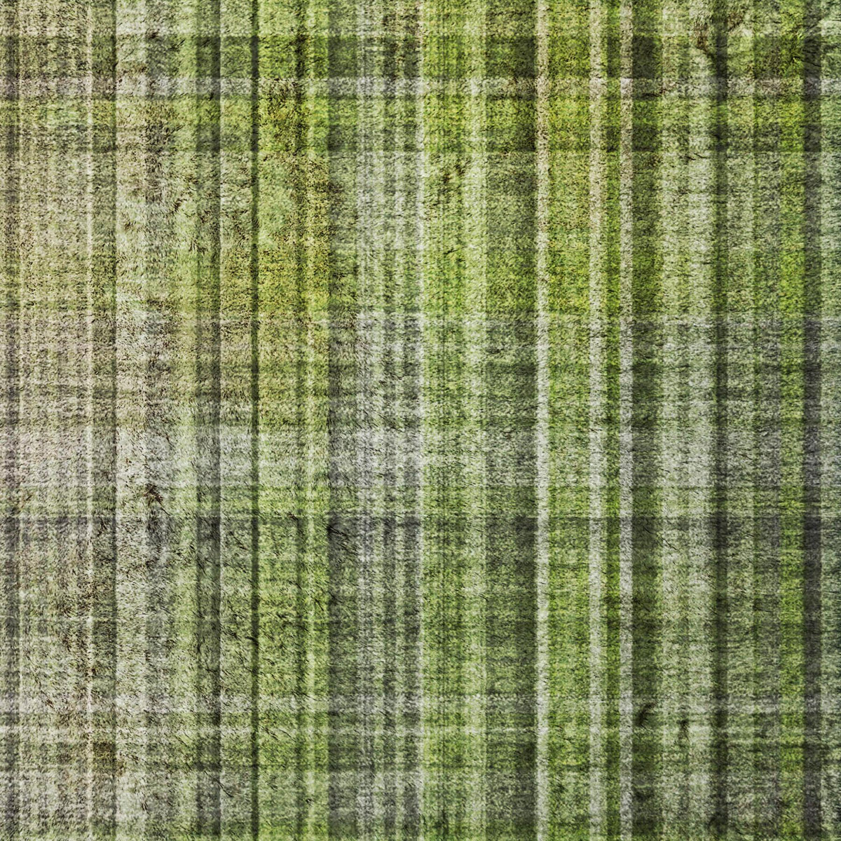 9' X 12' Green And Ivory Plaid Shag Washable Area Rug With UV Protection - HomeRoots - Flyclothing LLC