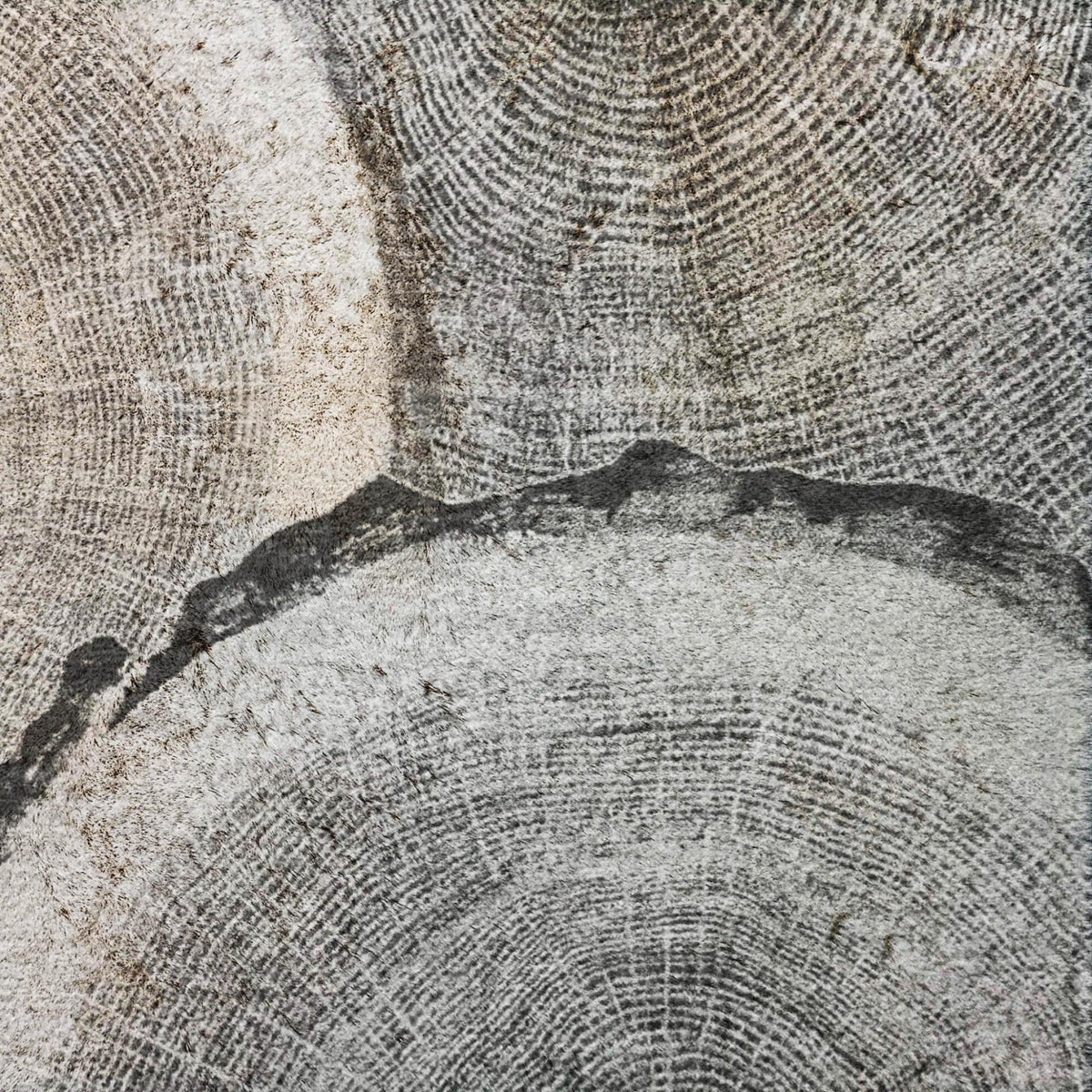 5' X 8' Gray And Silver Faux Bois Shag Washable Area Rug With UV Protection - HomeRoots - Flyclothing LLC