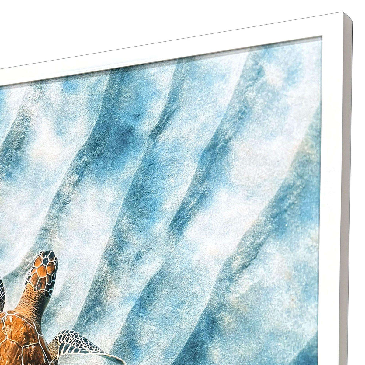 Sandbar Sea Turtle White Framed Wall Art - HomeRoots - Flyclothing LLC