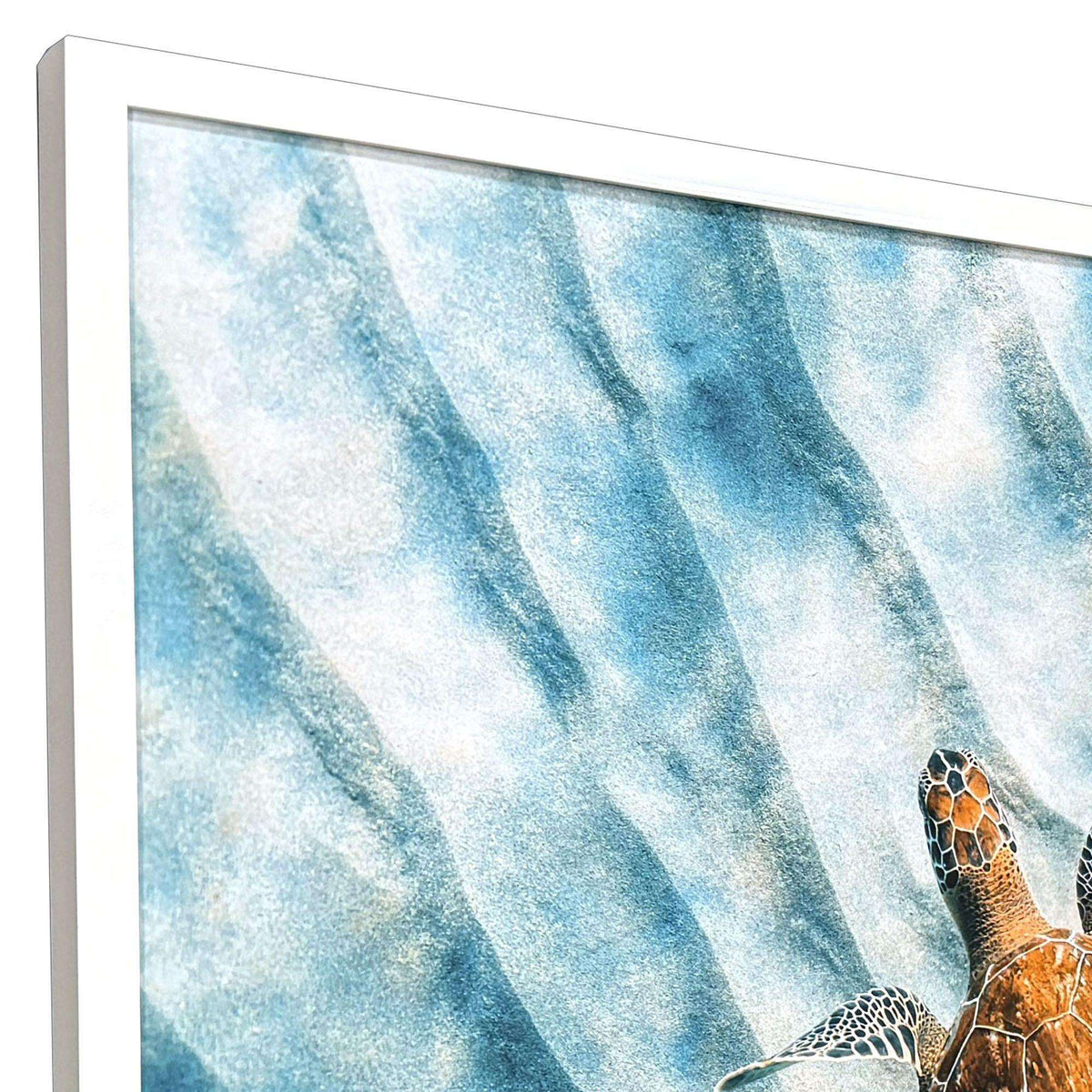 Sandbar Sea Turtle White Framed Wall Art - HomeRoots - Flyclothing LLC