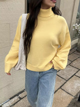Turtleneck Long Sleeve Sweater - Trendsi - Flyclothing LLC