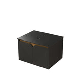 24" Black Wood Floating Double Door Bathroom Vanity - HomeRoots - Flyclothing LLC