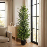 Set of Two 60" Green Artificial Pine Tree In Round Black Pot - HomeRoots - Flyclothing LLC