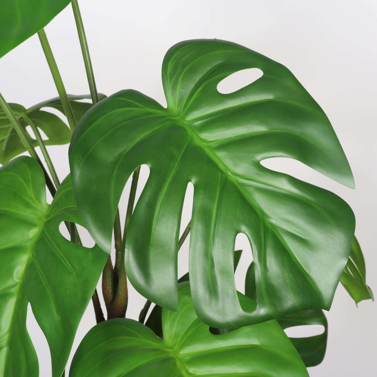 Set of Two 30" Green Artificial Elephant Ear Tree In Round White Pot - HomeRoots - Flyclothing LLC