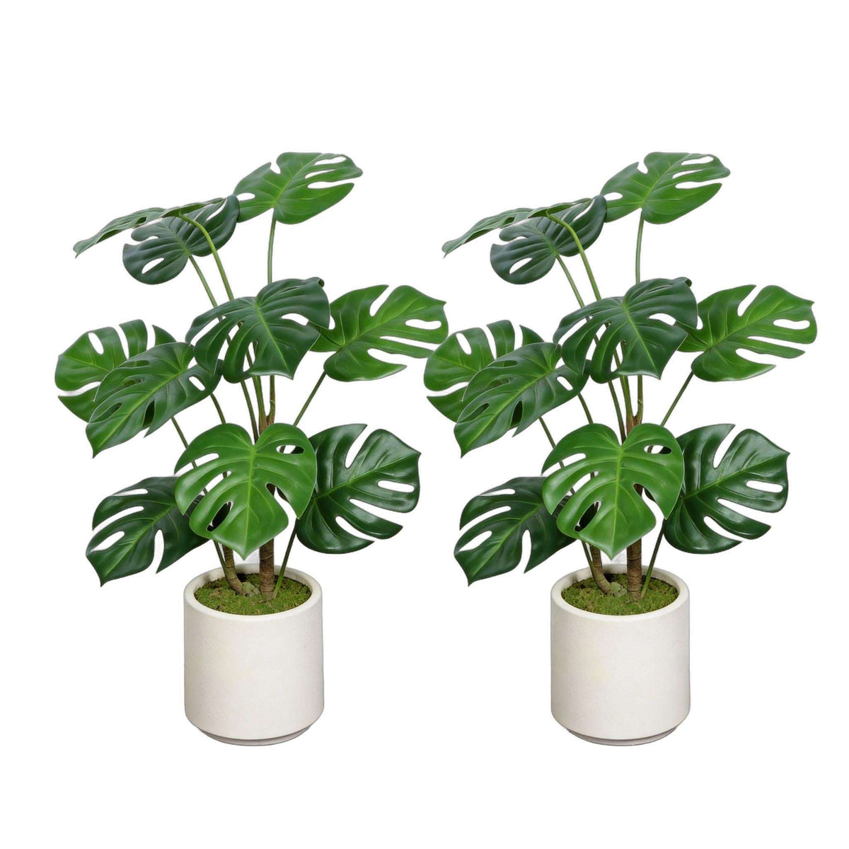 Set of Two 30" Green Artificial Elephant Ear Tree In Round White Pot - HomeRoots - Flyclothing LLC