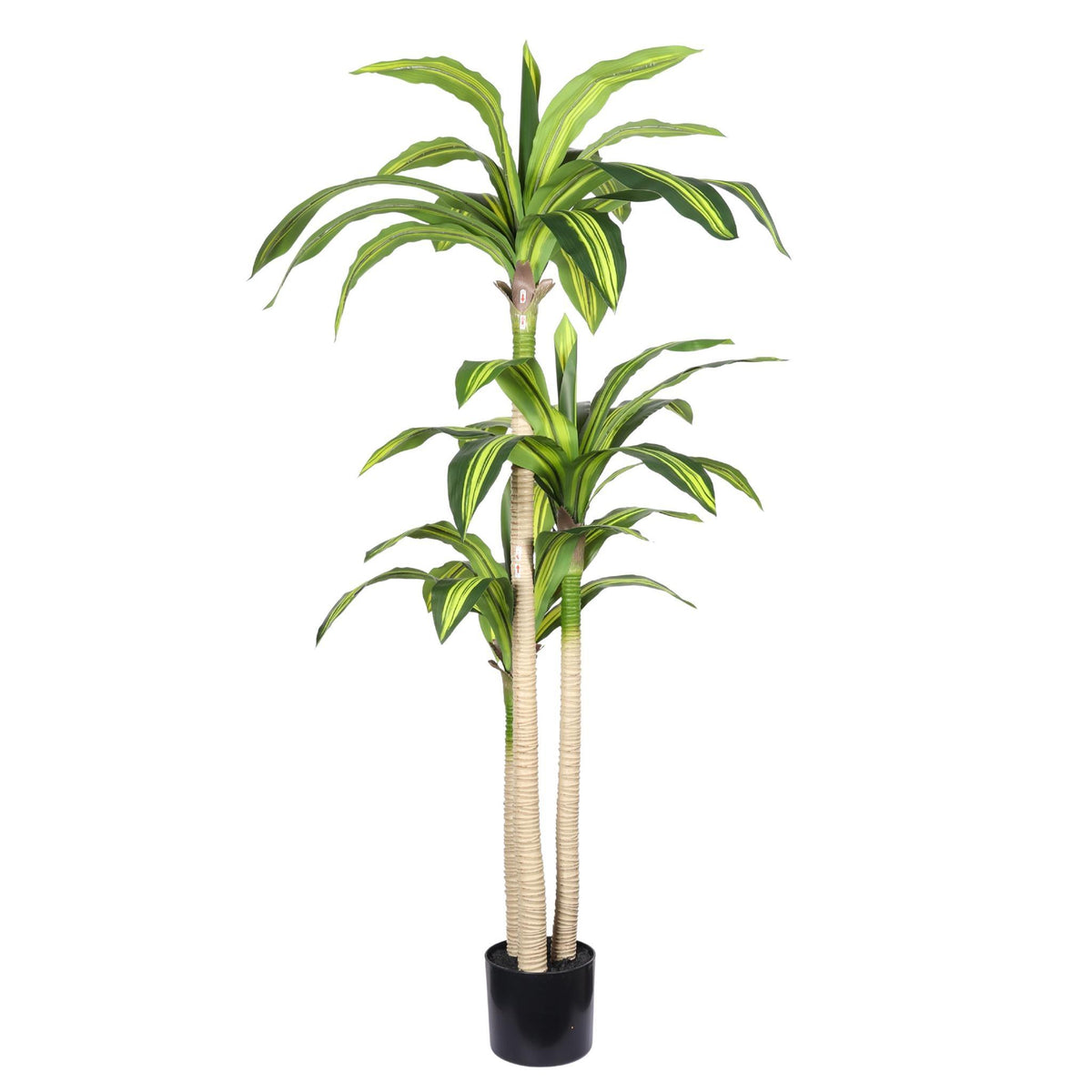 60" Green Artificial Dracaena Tree In Round Black Pot
