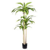 60" Green Artificial Dracaena Tree In Round Black Pot