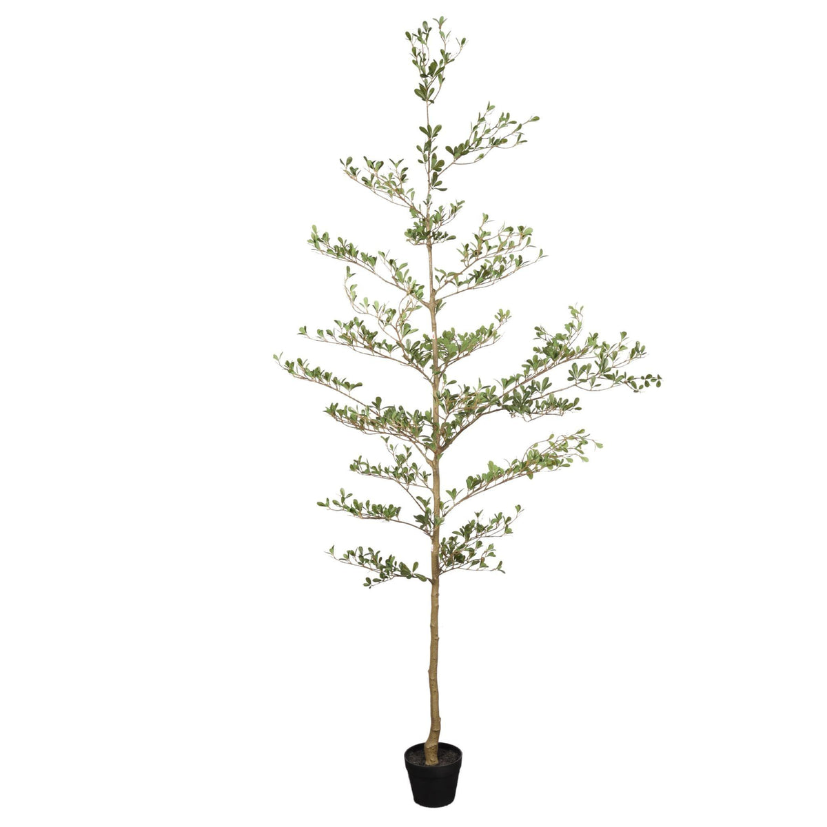 84" Green Artificial Olive Tree In Round Black Pot