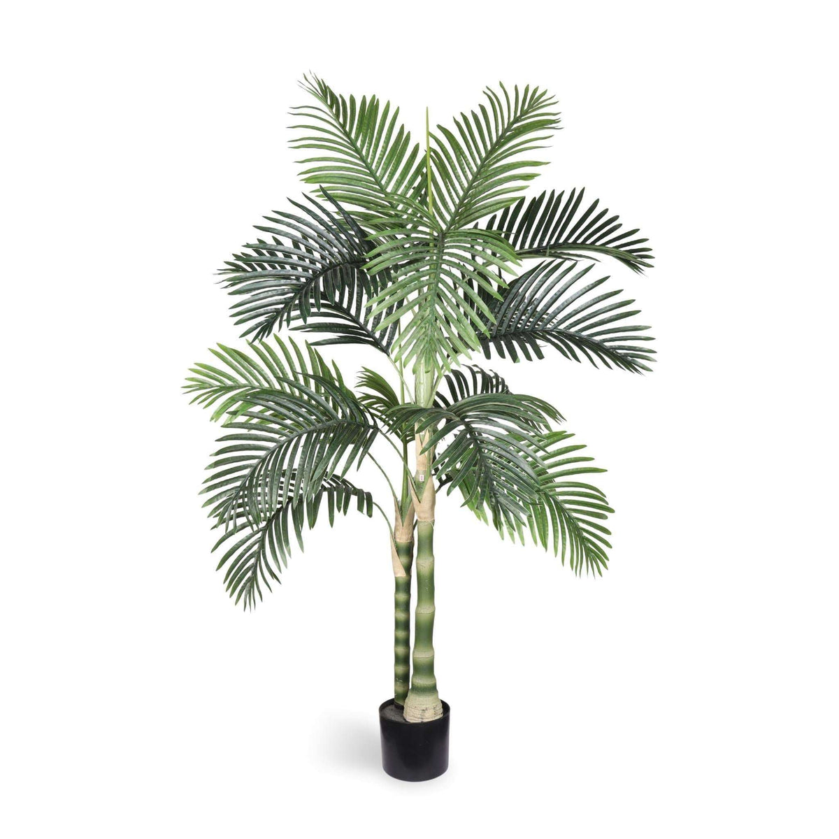 60" Green Artificial Palm Tree In Round Black Pot - HomeRoots - Flyclothing LLC