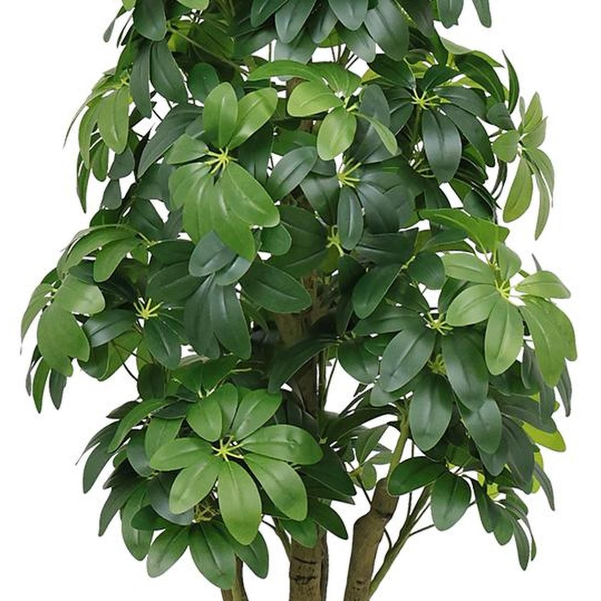 62" Green Artificial Ficus Tree In Round Black Pot - HomeRoots - Flyclothing LLC