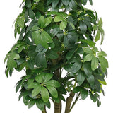 62" Green Artificial Ficus Tree In Round Black Pot - HomeRoots - Flyclothing LLC