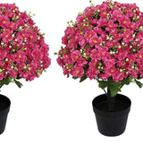 Set of Two 24" Red Artificial Flowering Tree In Round Black Pot - HomeRoots - Flyclothing LLC