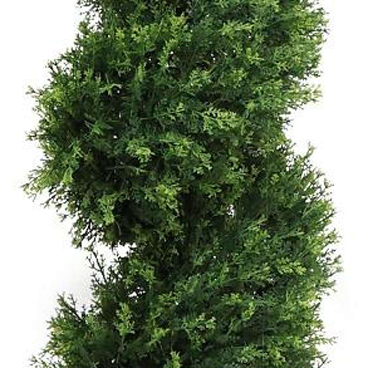 Set of Two 72" Dark Green And Light Green Artificial Cypress Tree In Round Black Pot - HomeRoots - Flyclothing LLC