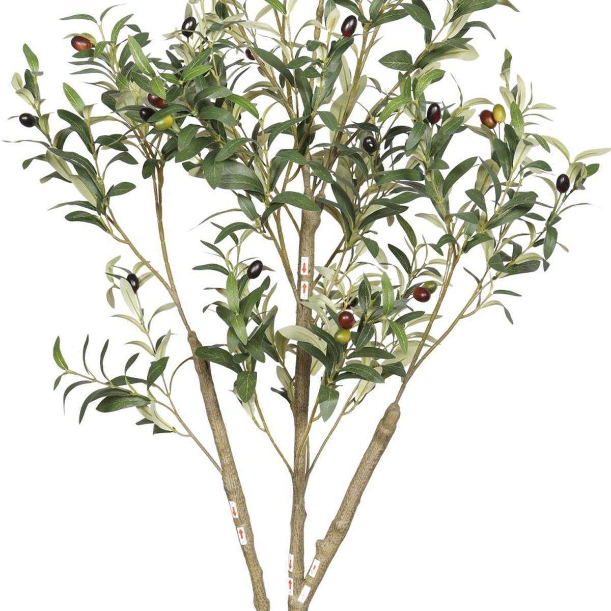 60" Green Artificial Olive Tree In Round Black Pot - HomeRoots - Flyclothing LLC