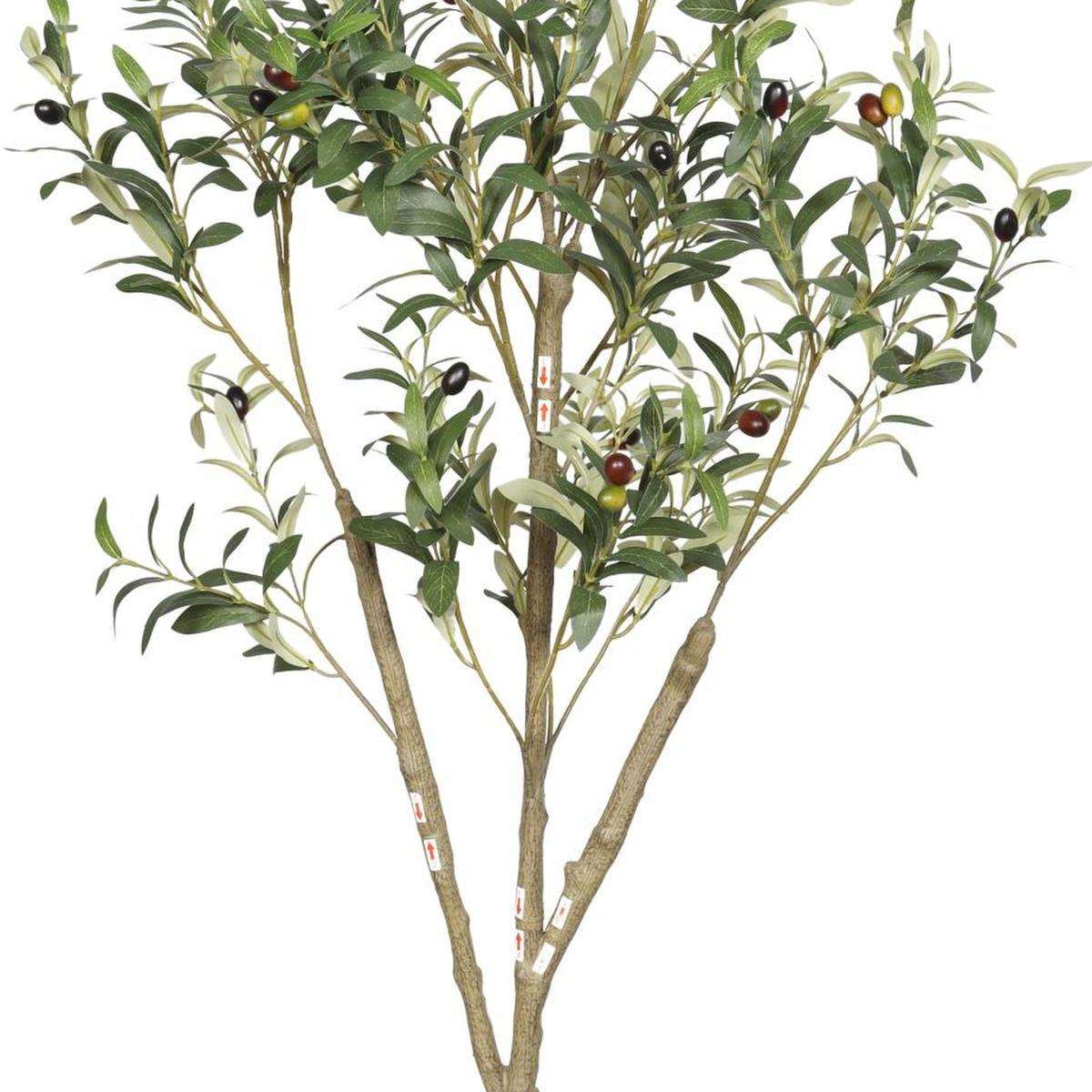 60" Green Artificial Olive Tree In Round Black Pot - HomeRoots - Flyclothing LLC